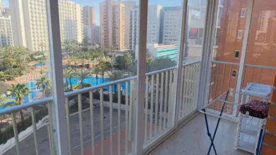 Apartment in Benidorm photo 14
