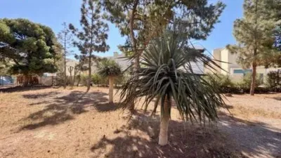 Chalet on Calle del Ancla photo 17