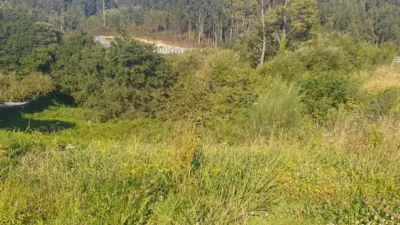 Terreno en venta en Campus Norte-San Caetano - Vista 4
