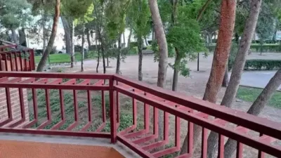 Apartment in Albacete Capital photo 5