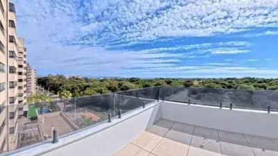 Duplex penthouse in Guardamar Playa photo 50