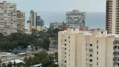 Pis – Alicante - Alacant - Vista 4