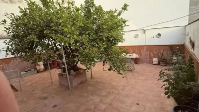 Apartment in Rute photo 2