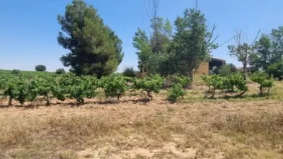 Rustic house in Villarrobledo photo 49