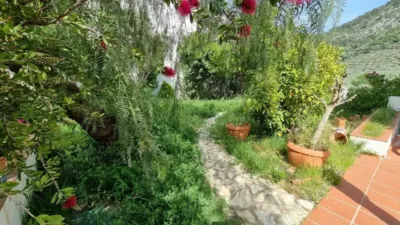 Chalet in Rute photo 8