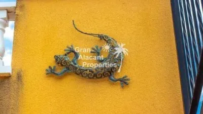 Chalet in Gran Alacant photo 19
