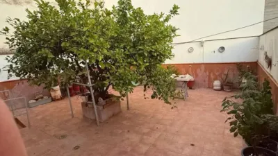 Apartment in Rute photo 8