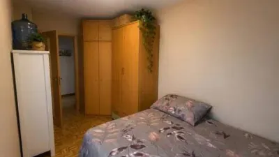 Apartment in Plaza de Cristóbal Colón photo 17