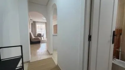 Pis – Torrevieja - Vista 2
