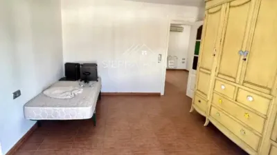 Apartment in El Bosque photo 6