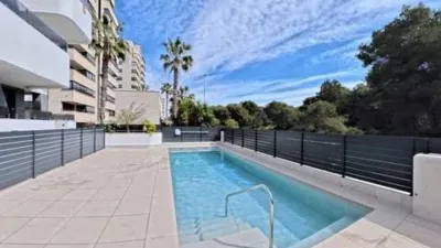 Duplex penthouse in Guardamar Playa photo 5