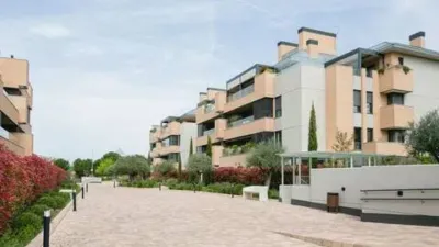 Apartment in Golf-El Carralero photo 39