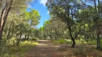 Terreno en venta en Albacete Capital - Vista 4
