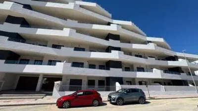 Apartment in San Miguel de Salinas photo 2