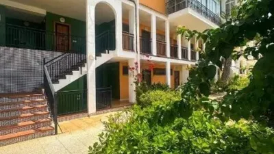 Piso – Torrevieja, Casa Jardin, Urbanización Punta Prima - Vista 2