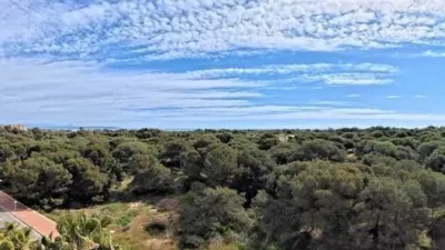 Duplex penthouse in Guardamar Playa photo 52