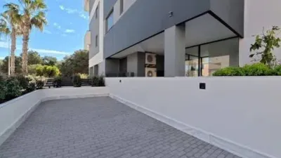 Duplex penthouse in Guardamar Playa photo 14