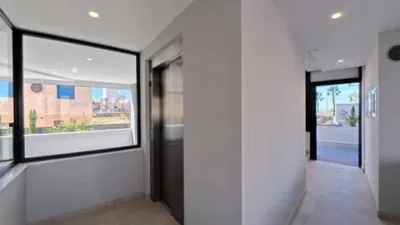 Duplex penthouse in Guardamar Playa photo 18