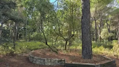 Terreno en venta en Albacete Capital - Vista 5