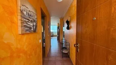 Apartment in Acequión-Los Naúfragos photo 5