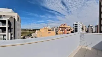 Duplex penthouse in Guardamar Playa photo 39