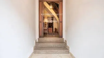 Chalet in Alhabia photo 50