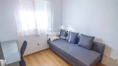 Chalet in Gran Alacant photo 59