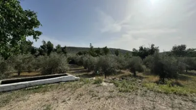 Chalet in Llanos de Don Juan photo 4