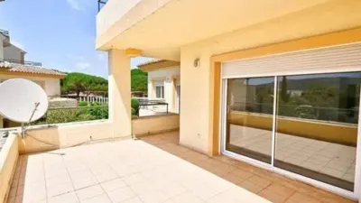 Apartment in Barrio San Roque photo 4