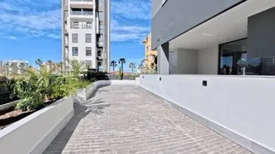Duplex penthouse in Guardamar Playa photo 7