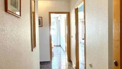 Apartment in Los Alcázares photo 3