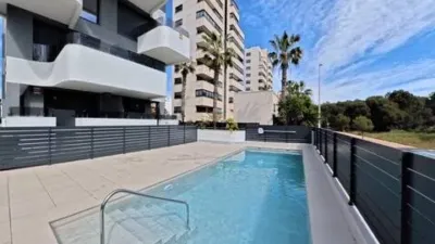 Duplex penthouse in Guardamar Playa photo 6