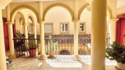 Apartment in Barrio San Roque photo 5