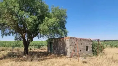 Rustic house in Villarrobledo photo 51