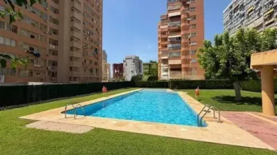Apartment in Benidorm photo 2