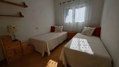 Apartment in Cabo Roig-La Zenia-La Regia photo 29