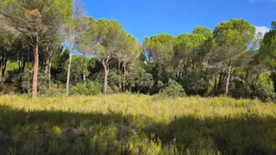 Terreno en venta en Albacete Capital - Vista 2