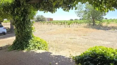 Rustic house in Villarrobledo photo 7