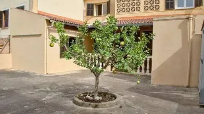 Chalet in Son Servera photo 29