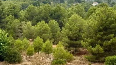 Apartment in Valterna-Terramelar photo 30