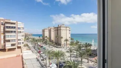 Apartment in Los Arenales del Sol photo 42