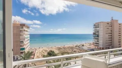 Apartment in Los Arenales del Sol photo 3