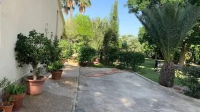 Chalet in Torrellano-Valverde-Parc Empresarial photo 17