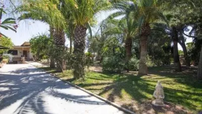 Casa – Elx - Elche - Vista 2