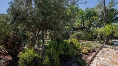 Casa – Elx - Elche - Más