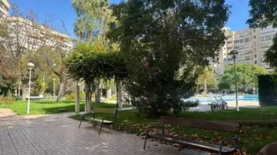Apartment in Playa de San Juan photo 43