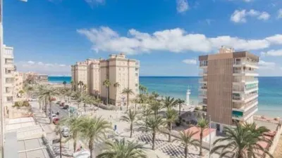 Apartment in Los Arenales del Sol photo 5