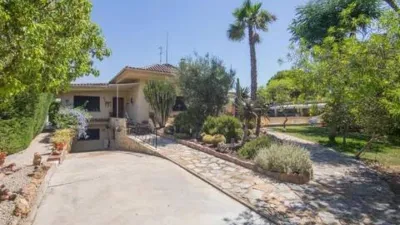 Casa – Elx - Elche - Vista 4