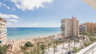 Apartment in Los Arenales del Sol photo 43