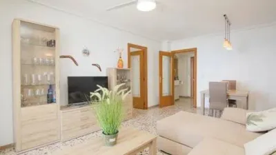 Apartment in Los Arenales del Sol photo 12